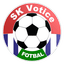 Votice logo