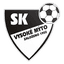 Vysoké Mýto logo