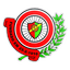 SF Palmense logo