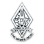 Sepins logo