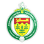 Ashford United logo