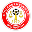 Hollands & Blair logo