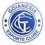 Goianésia Esporte Clube logo