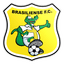 Brasiliense Futebol Clube logo