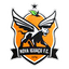 Nova Iguaçu Futebol Clube logo