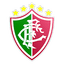 Fluminense Esporte Clube (PI) logo