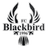 FC Blackbird