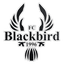 FC Blackbird logo