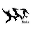 Nouseva Laaka logo