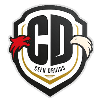 Cefn Druids