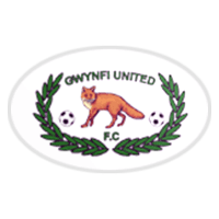 Gwynfi United