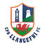 Llangefni Town logo