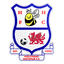 Holyhead Hotspur logo