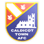 Caldicot Town AFC logo