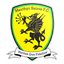 Merthyr Saints logo