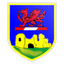Newcastle Emlyn logo