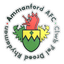 Ammanford logo