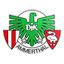 DJK Ammerthal logo