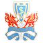 Llandrindod Wells logo