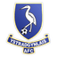 Ystradgynlais logo