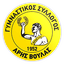 GS Aris Voulas logo