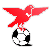 SV De Valleivogels