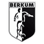 VV Berkum logo
