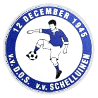VV Schelluinen