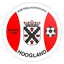 VV Hoogland logo