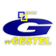 VV Gestel logo