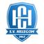 SV Hillegom logo