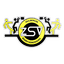 ZSV logo