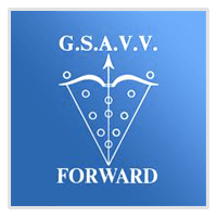 GSAVV Forward
