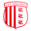 IJVV logo