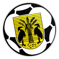 VV Reiger Boys