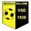 Mórahalom Városi Sportegyesület logo