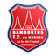 Bamboutos FC logo