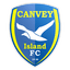 Canvey Island logo