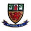 Nortel logo
