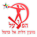 Hapoel Daliyat al-Carmel