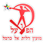 Hapoel Daliyat al-Carmel logo