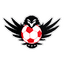 Football Club Tseirey Tamra logo