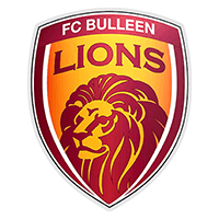 FC Bulleen Lions