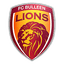 FC Bulleen Lions logo