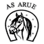 Association Sportive Arué logo