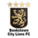 Bankstown City