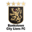 Bankstown City Lions FC logo