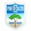 Pineto Calcio logo
