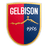 Gelbison