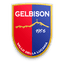 Gelbison logo